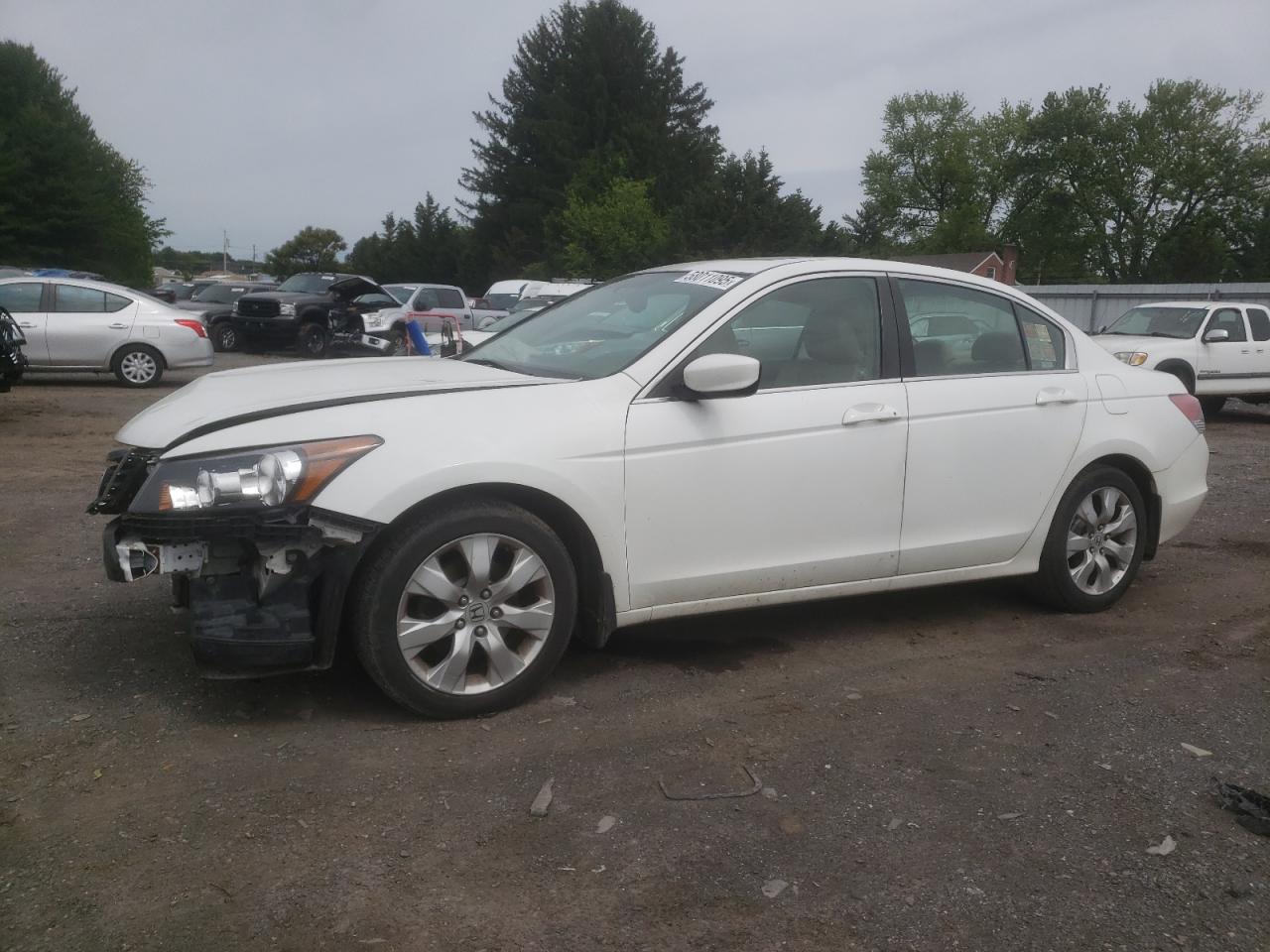 Finksburg, MD에서 판매 중인 2008 Honda Accord Exl - Front End