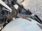 2021 Honda Cmx500 A for Sale in Riverview, FL - Front End