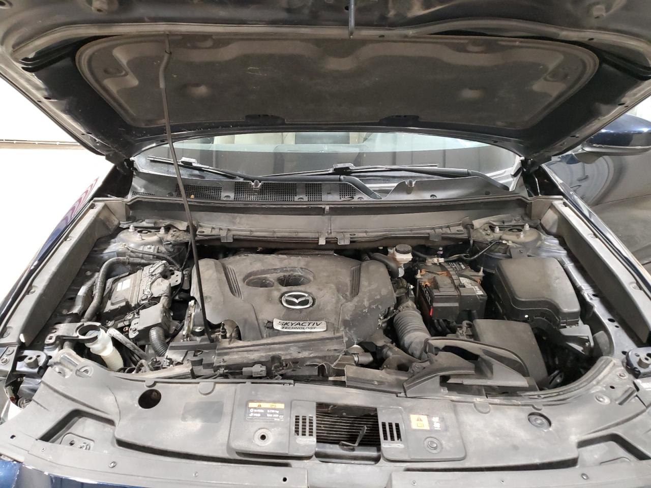 2016 Mazda Cx-9 Touring VIN: JM3TCACY7G0101310 Lot: 57134255