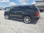 2007 Cadillac Escalade Luxury for Sale in Earlington, KY - Hail