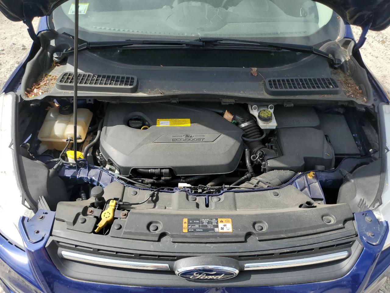 2015 Ford Escape Se VIN: 1FMCU9GXXFUC18503 Lot: 56388995