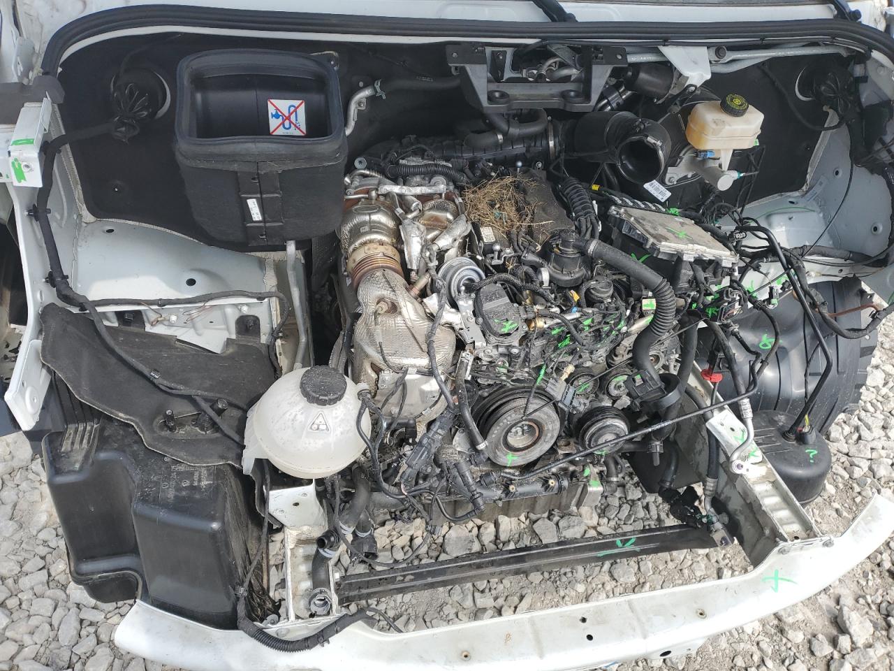 2024 Mercedes-Benz Sprinter 3500 VIN: W1Y5NDHY2RT186317 Lot: 55514555
