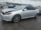 2008 Toyota Scion Tc  للبيع في Pennsburg، PA - Front End