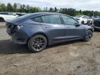 2022 Tesla Model 3  for Sale in Finksburg, MD - Rear End