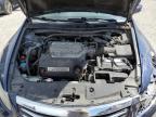 2011 Honda Accord Exl for Sale in Indianapolis, IN - Rear End