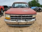 1991 Dodge Dakota  de vânzare în China Grove, NC - Front End