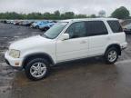 2000 Honda Cr-V Se for Sale in Hillsborough, NJ - Rear End
