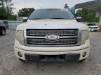 2009 Ford F150 Supercrew de vânzare în Augusta, GA - Rear End