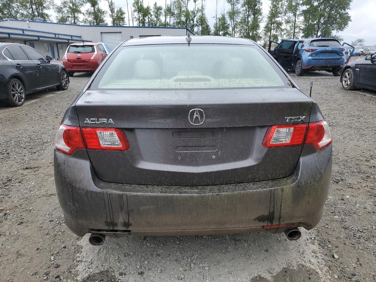2009 Acura Tsx VIN: JH4CU26609C007324 Lot: 53918455