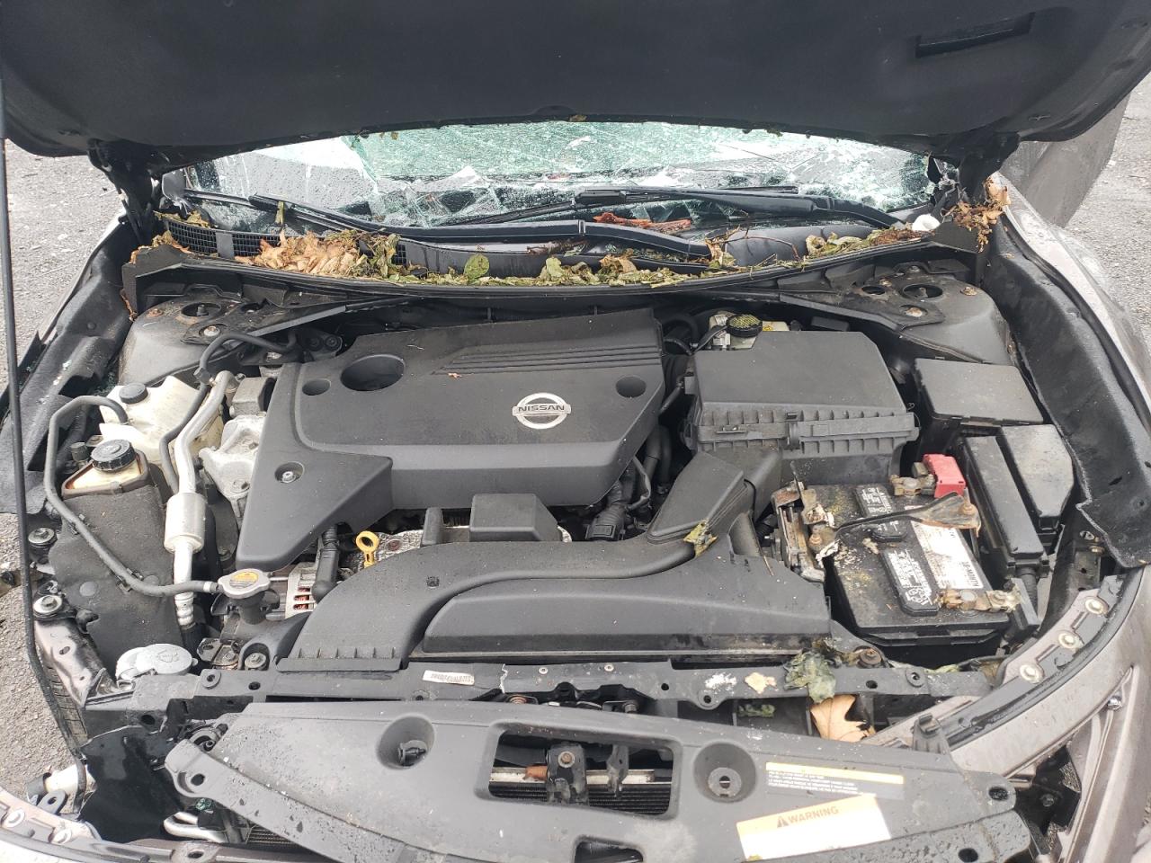 2013 Nissan Altima 2.5 VIN: 1N4AL3AP3DC909126 Lot: 56318535