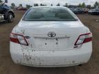 Rocky View County, AB에서 판매 중인 2009 Toyota Camry Hybrid - Frame Damage