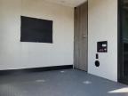 2021 Foresriver Xlr for Sale in Earlington, KY - Hail