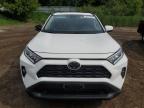 2019 Toyota Rav4 Xle   for Sale in Davison, MI - Side