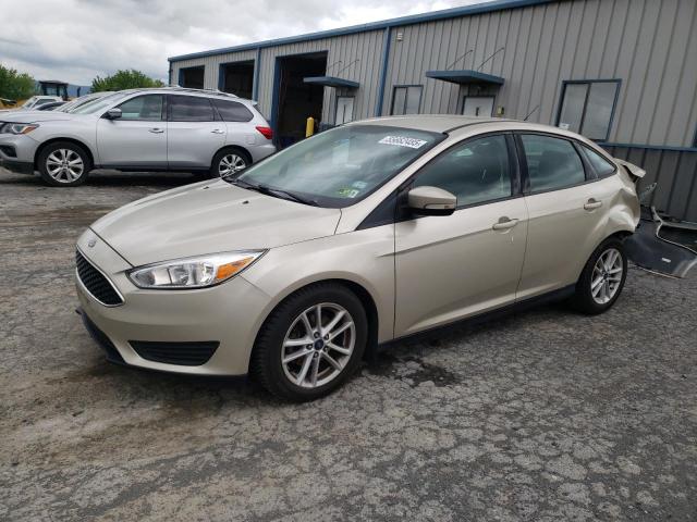  FORD FOCUS 2018 Цвет загара