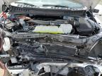 2024 FORD F150 PLATINUM   for sale at Copart ON - TORONTO