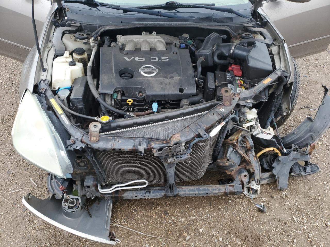 2004 Nissan Altima Se VIN: 1N4BL11E34C176387 Lot: 57869885