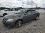 2010 Toyota Camry Base იყიდება Memphis-ში, TN - Rear End
