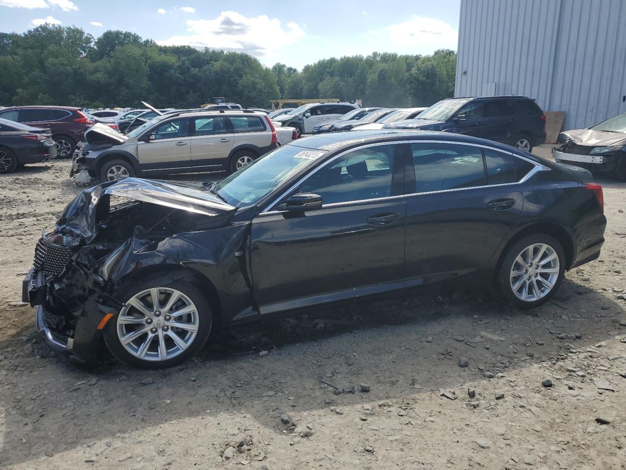 2024 Cadillac Ct5 Luxury zu verkaufen in Windsor, NJ - Front End