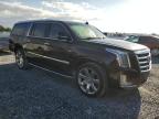 2020 Cadillac Escalade Esv Luxury იყიდება Riverview-ში, FL - Minor Dent/Scratches
