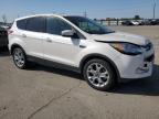 2013 Ford Escape Sel de vânzare în Nampa, ID - Front End