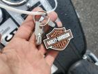 2005 Harley-Davidson Fxsti  للبيع في Pennsburg، PA - Front End