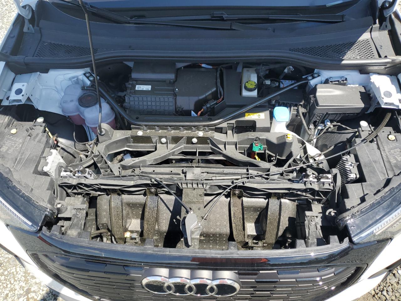 2024 Audi Q4 E-Tron Prestige VIN: WA1MUBFZ6RP063626 Lot: 56236095