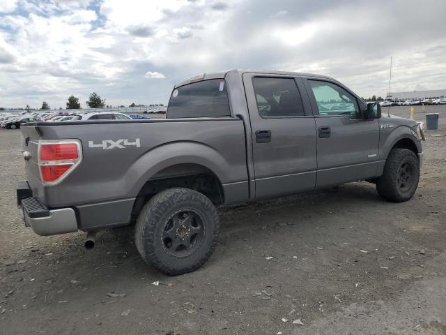 Пикапы FORD F-150 2013 Серый