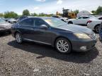 2010 Lexus Es 350 იყიდება Hillsborough-ში, NJ - Minor Dent/Scratches
