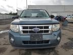 2011 Ford Escape Xlt   for Sale in Fredericksburg, VA - Rear End
