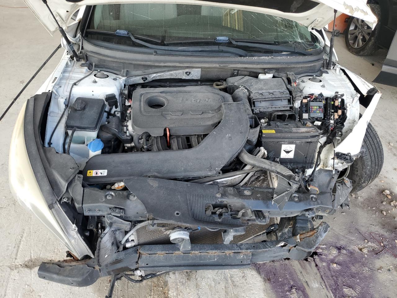 2016 Hyundai Sonata Se VIN: 5NPE24AF1GH407753 Lot: 56016605