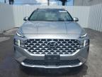 2023 Hyundai Santa Fe Sel Premium for Sale in Riverview, FL - Rear End