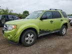 2011 Ford Escape Xlt   for Sale in Columbia Station, OH - Front End