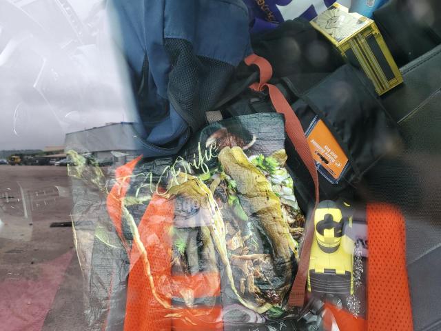  FORD F-150 2015 Білий