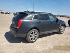 2012 Cadillac Srx Premium Collection for Sale in Amarillo, TX - Rear End