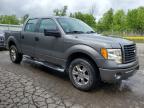 Woodhaven, MI에서 판매 중인 2014 Ford F150 Supercrew - Minor Dent/Scratches