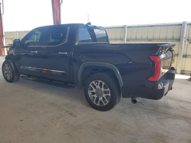  TOYOTA TUNDRA 2024 Brown