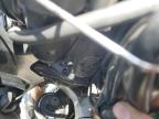 2013 Triumph Motorcycle Tiger Explorer for Sale in Grantville, PA - Front End