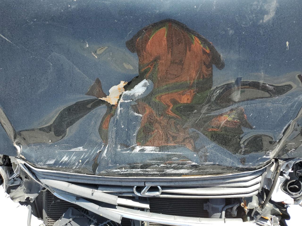 1995 Lexus Ls 400 VIN: JT8UF22E4S0034917 Lot: 57218845