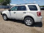 2012 Ford Escape Xlt for Sale in Mercedes, TX - Front End