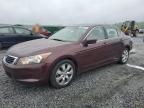 2010 Honda Accord Ex იყიდება Spartanburg-ში, SC - Rear End