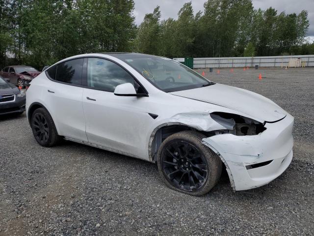  TESLA MODEL Y 2023 White