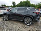 2025 Lexus Nx 350 Premium на продаже в Madisonville, TN - Front End