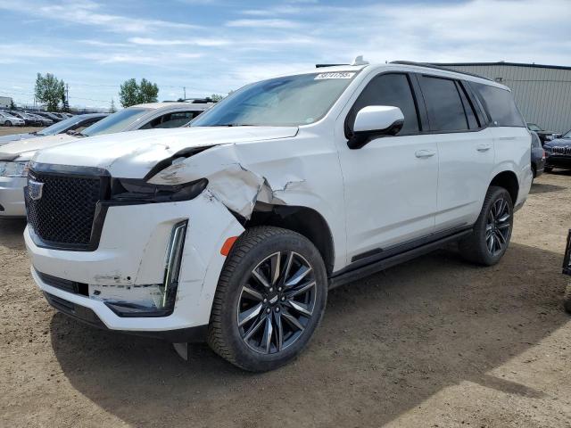 2024 CADILLAC ESCALADE SPORT PLATINUM   for sale at Copart AB - CALGARY