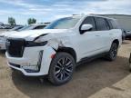 2024 CADILLAC ESCALADE SPORT PLATINUM   for sale at Copart AB - CALGARY