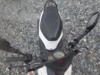 2017 Other Motorcycle Scooter for Sale in Arcadia, FL - Side
