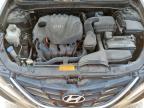 2013 Hyundai Sonata Gls de vânzare în San Antonio, TX - Hail