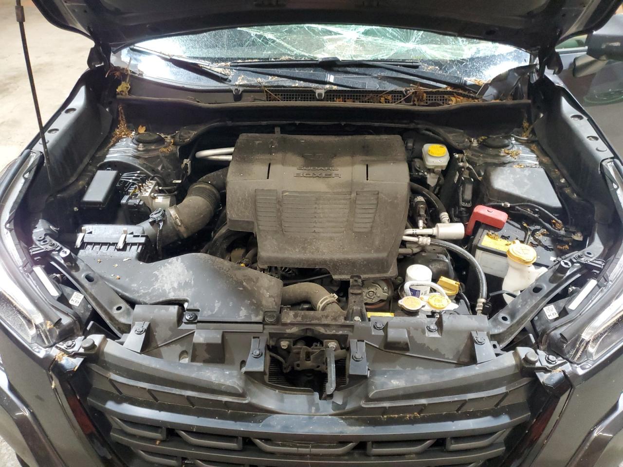 2023 Subaru Forester Premium VIN: JF2SKADC8PH452594 Lot: 56901525
