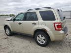 2012 Ford Escape Xlt for Sale in Appleton, WI - Front End