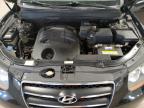 2009 Hyundai Santa Fe Se for Sale in Blaine, MN - Side