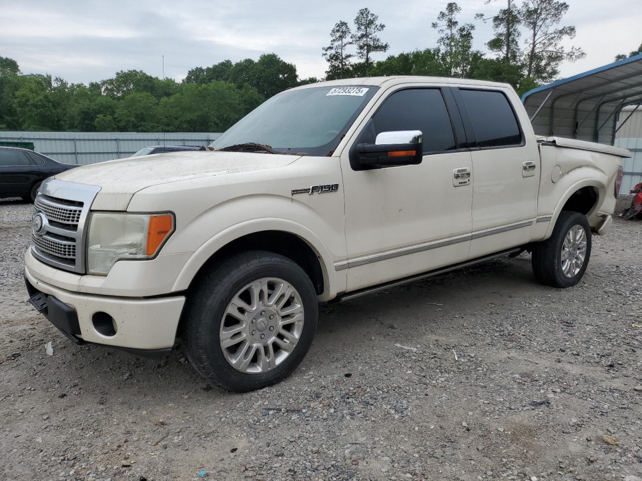2009 Ford F150 Supercrew de vânzare în Augusta, GA - Rear End